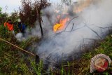 Dua anggota Taruna Siaga Bencana (Tagana) berupaya memadamkan api yang menjalar di lahan hutan, di kawasan Jalan Sepakat II, Pontianak, Kalbar, Senin (2/4). Berdasarkan pantauan Badan Lingkungan Hidup Daerah (BLHD) Kalbar, dalam sepekan ini terdapat 54 titik panas (hot spot) yang terjadi akibat pembakaran lahan di sejumlah kabupaten di wilayah Kalbar yaitu antara lain Sambas, Kubu Raya, Kapuas Hulu dan Ketapang. FOTO ANTARA/Jessica Helena Wuysang/12