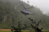 Balikpapan (ANTARA News Kaltim) - Helikopter yang akan membawa tiga orangutan untuk dilepasliarkan di Hutan Kehje Sewen, Kutai Timur, Kalimantan Timur, mendarat, Minggu (22/4). Tiga orangutan dilepasliarkan oleh tiga menteri Kabinet Indonesia Bersatu II yaitu Menteri Koordinator Bidang Perekonomian Hatta Rajasa, Menteri Kehutanan Zulkifli Hasan, dan Menteri Lingkungan Hidup Balthasar Kambuaya, didampingi Gubernur Kaltim Awang Faroek. (Foto: Borneo Orangutan Survival/ANTARA News Kaltim)