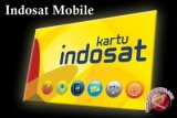 Indosat Gelar IM3 Mobile Academy 2014