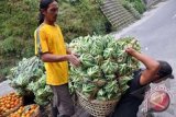 Dusun Mudal menuju kawasan agrowisata pascaerupsi Merapi