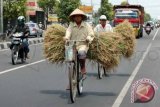 Jalan Kapas Yogyakarta diuji coba satu arah 