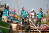 Tanam Mangrove