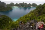 Seorang pengunjung memanjat batu karang salah satu pulau menonjol (lime stone) di Wayag Raja Ampat, Papua Barat, Sabtu (2/6). Selain pesona bawah lautnya, gugusan lime stone menjadi salah satu andalan daya tarik wisata Raja Ampat. Pemandangan tersebut bisa dilihat wisatawan dari lime stone tertinggi dengan ketinggian 174 mdpl. FOTO ANTARA/Rosa Panggabean