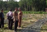 Samarinda (ANTARA News Kaltim) - Komisi I dipimpin Sekretarisnya, Syaparudin, ketika berada di Pulau Sambit dan Pulau Maratua. (FOTO-FOTO DPRD KALTIM/IYAN) 