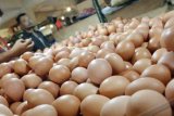 Jakarta (Antara Bali) - Pembeli memilih telur ayam ras yang dijual di pasar Klender, Jakarta Timur, Jumat (20/7). Harga telur ayam ras di pasar tradisional tersebut dijual dengan harga kisaran Rp.20 ribu per Kg dan diperkirakan akan terus mengalami peningkatan memasuki bulan Ramadan dan jelang Lebaran 1433 H. FOTO ANTARA/Widodo S. Jusuf/2012.