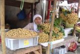 Petani pesisir kembangkan tanaman kelengkeng 20 hektare 