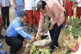 Tanjung, 2/7 - Untuk menghijaukan lingkungan sekolah, SD Negeri 1 Pangelak di Desa Pangelak Kecamatan Upau, Tabalong melakukan kegiatan penanaman pohon. Menyusul bantuan 5.000 bibit dari PT United Tractor untuk jenis Bunga Tanjung. Selain memberikan bantuan bibit perusahaan bergerak di bidang alat berat ini juga memberikan 5 unit komputer, 8 rak buku dan tong sampah.(Foto ANTARA/:Herlina Lasmianti)