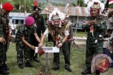 Menteri Kehutanan Zulkifli Hasan (kedua kanan) bersama (kanan-kiri) Pangdam VI/Mulawarman Mayjen TNI Subekti, Bupati Malinau Yansen TP dan Danjen Kopassus Mayjen TNI Wisnu Bawa Tenaya melakukan penanaman pohon Trembesi saat syukuran penutupan Ekspedisi Khatulistiwa 2012 di Desa Long Alango, Kecamatan Bahau Hulu, Kabupaten Malinau, Kalimantan Timur, Senin (16/7).