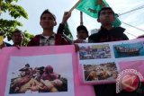 Mahasiswa dari Kesatuan Aksi Mahasiswa Muslim Indonesia (KAMMI) Aceh memerlihatkan foto para pengungsi Rohingya kepada pengguna jalan saat aksi solidaritas di Simpang Lima, Banda Aceh, Minggu (29/7). Aksi solidaritas mahasiswa itu menyerukan kepada pemerintah Myanmar memberikan kewarganegaraan terhadap suku Rohingya dan Negara Asean serta PBB segera bertindak menyelamatkan warga Rohingya , karena sudah terjadi pelanggaran HAM berat oleh Pengusa Militer Myanmar terhadap suku Rohingnya.FOTO ANTARA/Ampelsa