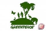 Greenpeace kembali tegaskan tidak anti-sawit