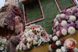 Kementan daftarkan varitas krisan budidaya petani Tomohon