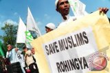 Sejumlah pengunjukrasa dari Front Pembela Islam (FPI), Kesatuan Aksi Mahasiswa Muslim Indonesia (KAMMI) dan Himpunan Mahasiswa Islam (HMI) Kalbar menggelar aksi solidaritas bertajuk 'Pontianak For Rohingya' di Bundaran Digulis, Pontianak, Kalbar, Jumat (3/8). Dalam unjukrasa yang digelar oleh Front Pembela Islam (FPI), KAMMI dan HMI Kalbar tersebut, mereka mengecam aksi kekerasan terhadap etnis Muslim Rohingya, serta meminta Presiden SBY untuk berperan aktif dalam upaya penyelesaian tragedi pembantaian ribuan muslim Rohingya di Myanmar. FOTO ANTARA/Jessica Helena Wuysang