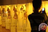 Modernisasi Museum Wayang