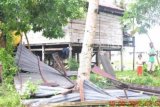 Nunukan (ANTARA News Kaltim)- Atap rumah milik Sunardi (26) yang diterbangkan angin puting beliung sekitar 20 meter di belakang rumahnya, di RT 008 Sei Lancang Kabupaten Nunukan, Jumat (14/9) sekitar pukul 23.00 Wita. (M Rusman/ANTARA News Kaltim).