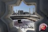 Jamaah Haji Dilarang Berfoto Dengan Unta