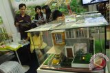 REI: Properti dihadapkan persoalan rendahnya daya beli