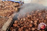 Arang tempurung asal Parigi Moutong diklaim berkualitas ekspor