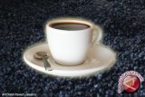 Cara menikmati kopi luwak asal Lampung