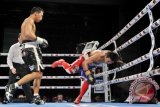 Petinju Daud Yordan (kiri) bertanding melawan petinju Mongolia Choijiavnyn Tseveenpurev (kanan) memperebutkan Juara Kelas Bulu IBO di Marina Bay Sands, Singapura, Jumat (9/11) malam. Daud Yordan menang mutlak atas petinju Mongolia Choijiavnyn Tseveenpurev dengan angka 117-111, 119-110, 118-110 dan mempertahankan sabuk juara IBO kelas bulu untuk pertama kali. FOTO ANTARA/Yudhi Mahatma