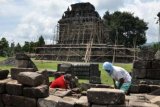 Magelang (Antara Bali) - Sejumlah pekerja Balai Konservasi Candi Borobudur membersihkan susunan batu candi Mendut saat melakukan perawatan rutin Candi Mendut, di Desa Mendut, Mungkid, Magelang, Jateng, Senin (3/12). Perawatan candi meliputi pembersihan lumut dan jamur yang tumbuh di permukaan batu serta rumput untuk menghindari pelapukan sebagai upaya menjaga kelestarian cagar budaya. FOTO ANTARA/Anis Efizudin/nym/2012.