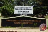 Pengembangan kawasan minapolitan Kulon Progo terkendala anggaran 