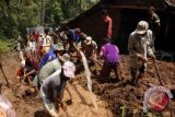 Waspadai longsor Jalinteng Sumatera Liwa Lampung-Krui