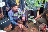 Menhut: 20 juta hektare hutan bisa direstorasi