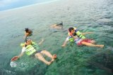 Wisata Snorkeling