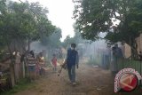 Pemerintah Kota Pontianak, Kalimantan Barat, menggalakkan kembali pemberantasan nyamuk Aedes Aegypti, penyebab penyakit DBD (demam berdarah dengue), dengan mmenyediakan abate dan kegiatan  