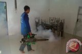 Pemerintah Kota Pontianak, Kalimantan Barat, menggalakkan kembali pemberantasan nyamuk Aedes Aegypti, penyebab penyakit DBD (demam berdarah dengue), dengan mmenyediakan abate dan kegiatan  "fogging" atau pengasapan gratis.  Warga tidak perlu membeli abate, karena Pemkot Pontianak sudah menyediakan abate gratis di tiap Puskesmas, begitu juga untuk pengasapan tinggal lapor ke Puskesmas terdekat tanpa dipungut bayaran. Wali Kota Pontianak Sutarmidji menginginkan dapat menekan seminimal mungkin kasus-kasus DBD di kotanya. Tampak kegiatan pengasapan sudah dilakukan di Komplek Pemda Jalan 28 Oktober, Kelurahan Siantan Hulu, Kota Pontianak, Sabtu 8/12. Foto ANTARA Kalbar/Andilala