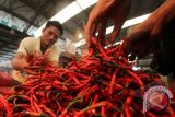 Cabe merah keriting di parigi tembus rp65.000/kg