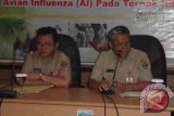 Samarinda (ANTARA Kaltim) - Dinas Peternakan Provinsi Kalimantan Timur di Samarinda, Selasa (29/1), menggelar rapat koordinasi tentang pengendalian penyakit flu burung atau avian influenza karena penyakit ini sudah menyerang unggas di sejumlah daerah. (Supriyadi/ANTARA Kaltim)