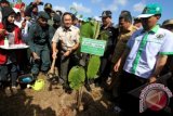 Menteri Kehutanan Zulkifli Hasan (kedua kiri) menanam bibit pohon Tengkawang didampingi Wakil Gubernur Kalimantan Barat Cristiandy Sanjaya (ketiga kanan) Bupati Kubu Raya Pontianak Muda Mahendrawan (kedua kanan) dan Ketua Pimpinan Wilayah Muhammadiyah Kalimantan Barat Ahmad Jais ( kanan) ketika pencanangan Gerakan Menanam Pohon di Kampus Baru Universitas Muhammadiyah Pontianak, Kabupaten Kubu Raya, Pontianak, Kalimantan Barat, Selasa (29/1). Menteri Kehutanan Zulkifli Hasan Optimis realisasi penanaman pohon baru di Indonesia sepanjang tahun 2012 akan melampaui angka 1,5 miliar batang. FOTO ANTARA/M Agung Rajasa