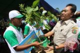 Menteri Kehutanan Zulkifli Hasan memberikan bibit pohon kepada perwakilan kelompok tani Singkawang ketika pencanangan Gerakan dan Budaya Menanam Pohon di Pantai Tanjung Bajau, Singkawang, Kalimantan Barat, Selasa (29/1). Menteri Kehutanan Zulkifli Hasan Optimis realisasi penanaman pohon baru di Indonesia sepanjang tahun 2012 akan melampaui angka 1,5 miliar batang. FOTO ANTARA/M Agung Rajasa