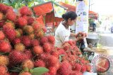 Penjual rambutan musiman