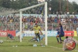 Pemain Persiba Franky Turnando melakukan selebrasi usai menciptakan gol tunggal yang membuat Tim Beruang Madu unggul atas tamunya, Persela Lamongan, 1-0, dalam lanjutan Kompetisi Liga Super Indonesia (ISL) di Stadion Parikesit, Balikpapan, Selasa (19/2). (Novi Abdi/ANTARA)