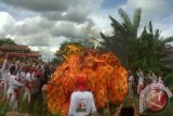 Sebanyak enam replika naga menjalani ritual "naga tutup mata"pada hari ke-16 Imlek (Senin, 25/2/2013),  setelah sebelumnya naga tersebut melakukan ritual "naga buka mata"di Kelenteng Kwan Ya Keng Pontianak pada hari ke-13 Imlek.  Ritual "naga tutup mata" dilakukan oleh seorang suhu yang kerasukan arwah Sun Go Kong (Dewa Kera), yang memberikan tanda hitam pada mata naga yang sebelumnya diberi tanda merah. Keenam reflika naga yang telah "tutup mata" kemudian dibakar di pemakaman Tionghoa milik YBS Pontianak di Jalan Adisucipto, Kabupaten Kubu Raya, dengan maksud mengirim kembali arwah naga ke kayangan setelah diundang ke bumi untuk membersihkan roh-roh jahat. Foto AntaraKalbar/Andilala
