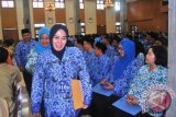 Sejumlah PNS tampak tersenyum ceria setelah menerima SK Kenaikan Pangkat dari Wakil Gubernur Kaltim Farid Wadjdy di aula Lamin Etam, Kantor Gubernur, Rabu (20/2). Total PNS yang menerima SK kenaikan pangkat per 1 April 2013 mencapai 937 orang, baik dari lingkungan PNS Pemprov Kaltim maupun kabupaten dan kota. (M Ghofar/ANTARA)