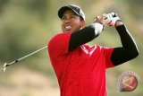 Tiger Woods Kembali Jadi Pegolf Terbaik Dunia