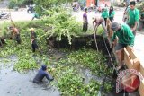 Banjarmasin, 24/3 - BERSIHKAN SUNGAI - Mahasiswa FKIP Unlam Banjarmasin, Ketua Komunitas Jurnalis Pena Hijau Deni Susanto dan Dinas Sumber Daya Air dan Drainase Kota Banjarmasin membersihkan sungai Belitung, Minggu (24/3) yang melibatkan warga setempat dalam rangka peringatan Hari Bumi 2013.(Foto Herry Murdy Hermawan/B)     