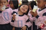 Martapura, 8/3 - Anak-anak TK Pertiwi dengan suka ria minum susu segar pada Gerakan Minum Susu Segar di Sekolah (GERIMISS) Kabupaten Banjar diawali sekolah TK Pertiwi, Martapura, Kamis (7/3). Gerimiss di buka oleh Sekda Banjar H.Nasrunsyah  didampingi Ketua Dharma Wanita Persatuan Kab. Banjar Hj. Budiarti Nasrunsyah.(Foto Antara/humas/AK/B)  
