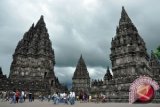 Gerobak Sapi Kepung Prambanan