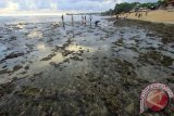 Yogyakarta (Antara Bali) - Wisatawan mengunjungi Pantai Indrayanti, Gunung Kidul, Yogyakarta, Minggu (14/4). Pantai Indrayanti merupakan salah satu tujuan wisata di Gunung Kidul yang banyak dipadati wisatawan. Selain menawarkan pesona air laut yang jernih, pantai ini juga berpasir putih yang terhampar dari sisi timur hingga barat. FOTO ANTARA/Herka Yanis Pangaribowo/nym/2013.