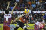 Bank Sumsel Babel Juara Proliga