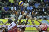 Bank Sumsel Babel Juara Proliga