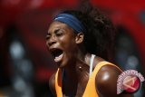 Serena balaskan kekalahan Venus atas Robson