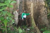 Lokasi Medang Raksasa Diusulkan Jadi Pusat Penelitian