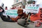 Medan (Antara Bali) - Sejumlah aktivis menggelar aksi kampanye menyelamatkan Orangutan di Bundaran SIB Medan, Sumut, Selasa (7/5). Mereka menyerukan penghentian perusakan habitat Orangutan yang ada di Sumatera Utara dan Aceh yang kini populasinya terancam akibat kegiatan perkebunan sawit dan pembukaan hutan baru. Foto Antara/Septianda Perdana/nym/2013.