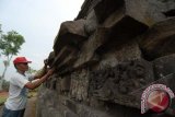 Kamadi membersihkan lumut yang menempel dipermukaan batu saat perawatan Candi Rimbi di Desa Pulosari, Bareng, Jombang, Jawa Timur, Rabu (15/5). Perawatan situs peninggalan kerajaan Majapahit sekitar abad 14 itu untuk menjaga situs cagar budaya dan menghindari terjadinya pelapukan. ANTARA FOTO/Syaiful Arif/nym/2013.