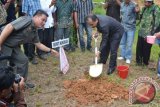 Bupati Nunukan Drs Basri menanam pohon mahoni di halaman Kantor Kecamatan Sebatik Barat, Nunukan, Kalimantan Utara, pada pembukaan bulan bakti gotong royong masyarakat, Jumat (10/5). (M Rusman/ANTARA Kaltim)